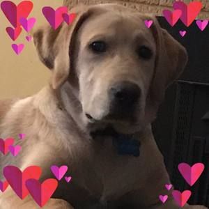 Meet your Posher, Terri